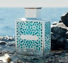 Rayhaan Aquatica 100 ML